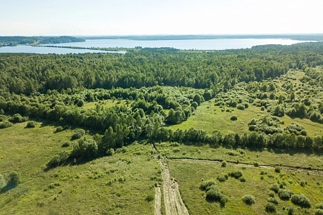 Кавголово разрастается