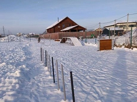 В “Прилесном 2.0” открылась первая в Ленобласти площадка для выгула собак