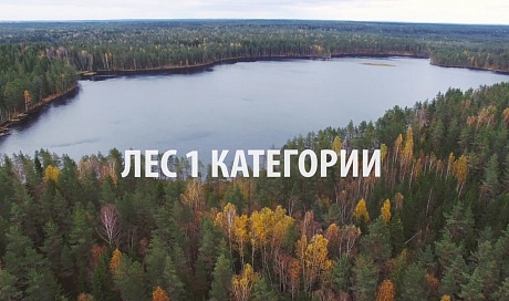 Добро пожаловать в "Тишь да Гладь"! Участки у озера в коттеджных поселках Ленинградской области