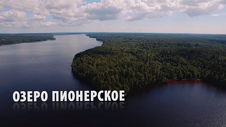 Коттеджный поселок "Сосновый Пляж": участки у озера в Ленинградской области