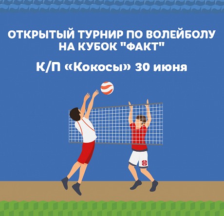 Волейбольный турнир 2019